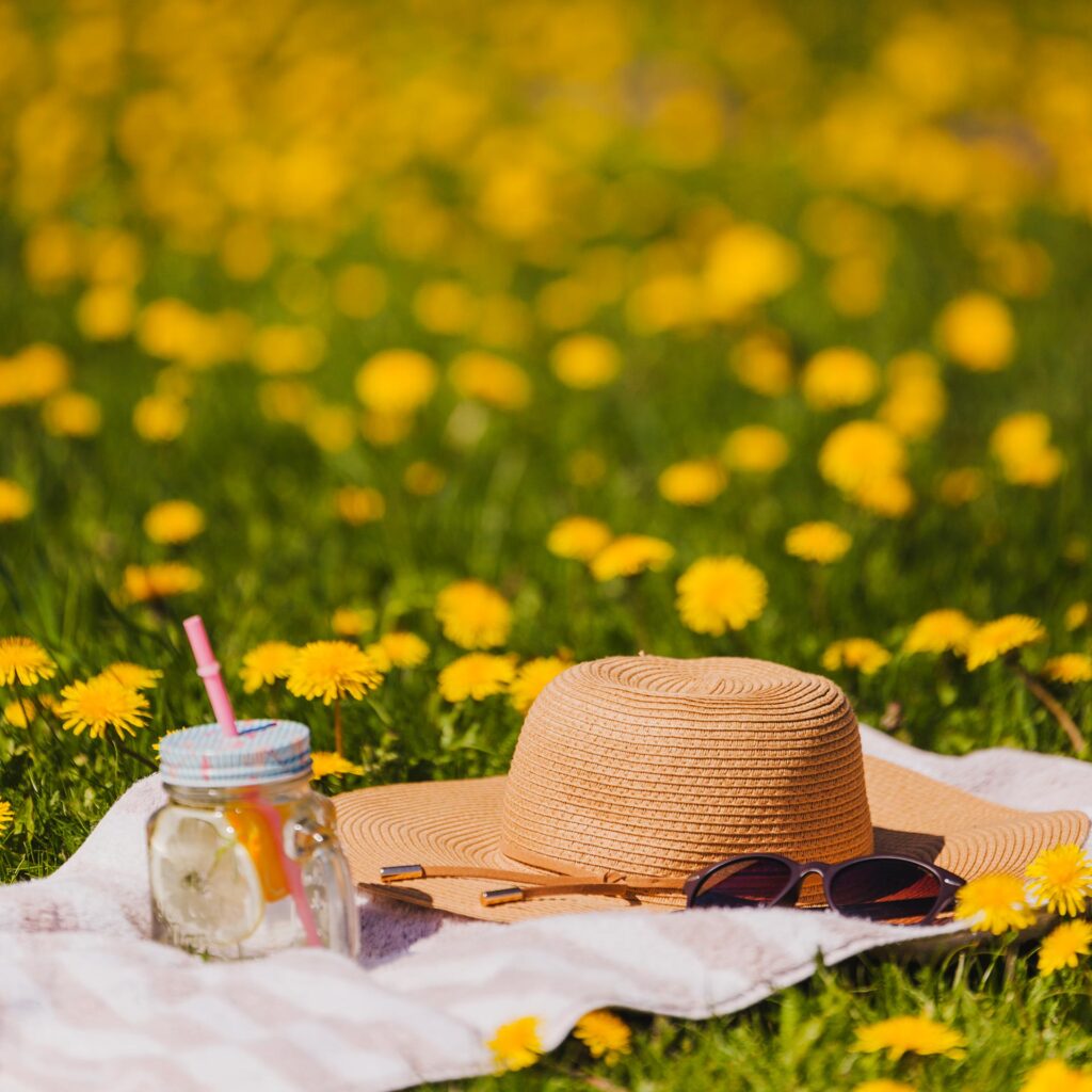 Unser Online Shop macht Sommerpause